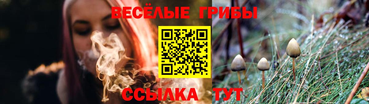 Коркино  Галлюциногенные грибы Psilocybe  как найти   Вход с VPN 